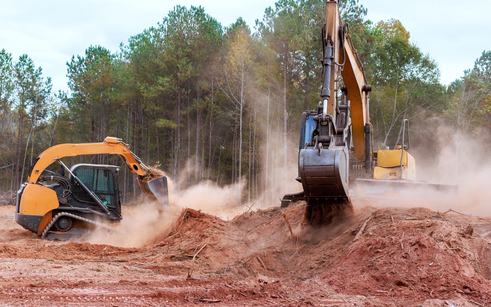 Can land clearing reduce pests