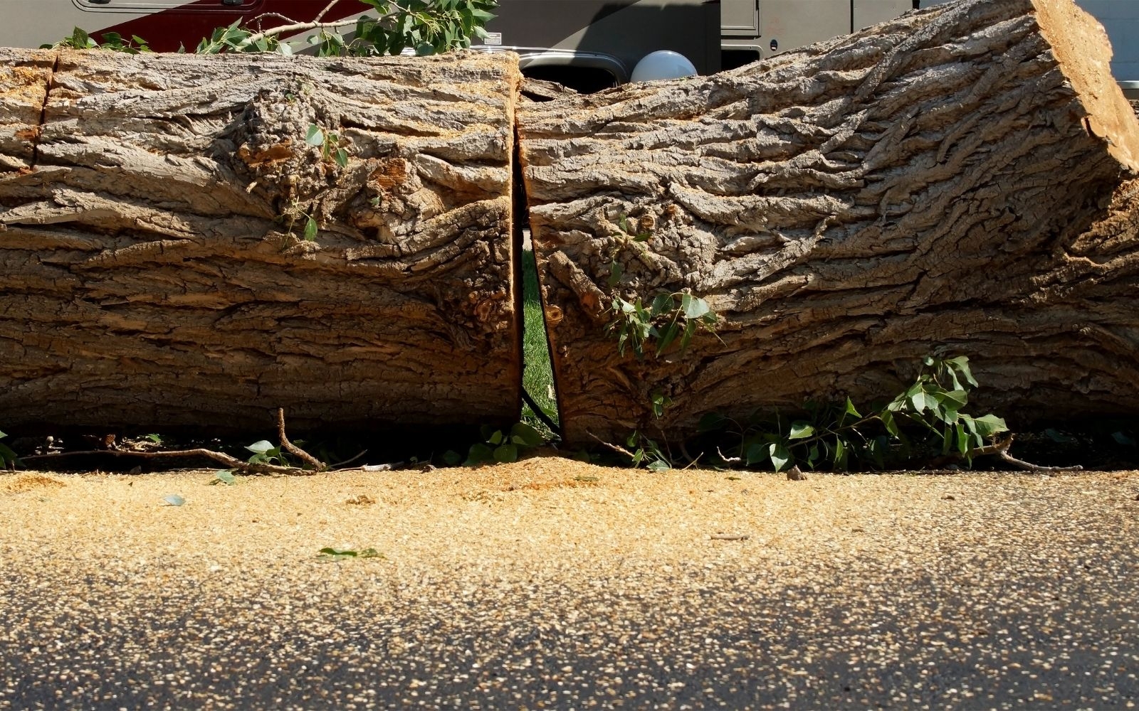 Can you handle large hedge lines