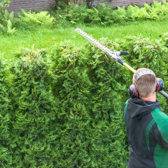 Do you offer roadside land clearing services