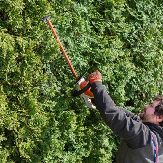 Can land clearing prevent fire hazards