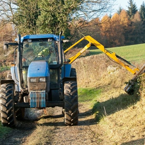 Can you grind stumps in garden beds