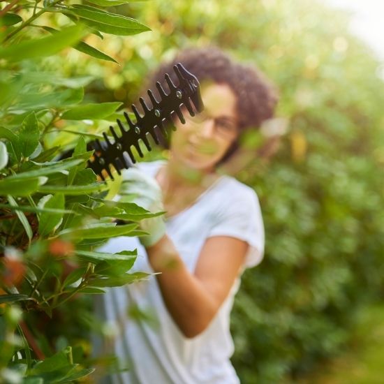 What is the difference between tree lopping and removal