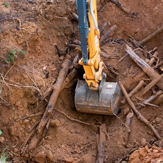 Do you provide emergency storm tree removal services