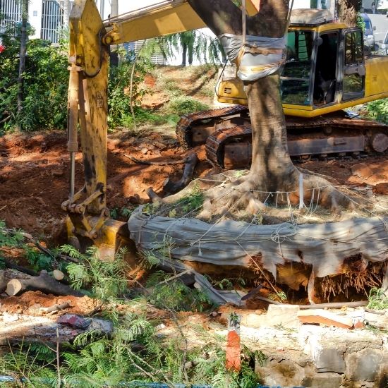 Is stump grinding noisy