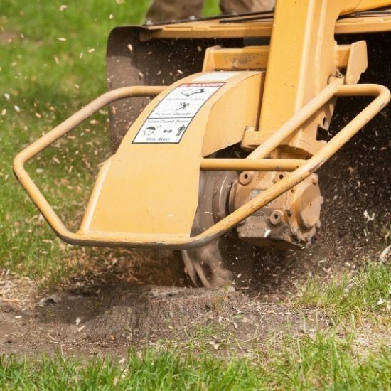 Can you grind stumps near underground pipes