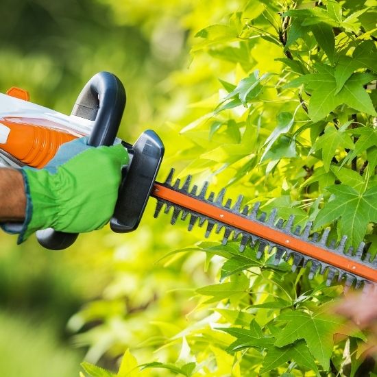 Can you remove overgrown bushland safely