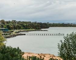 Beaumaris Demographics: An Affluent, Educated, and Established Community