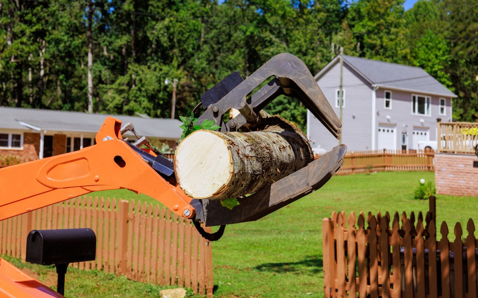 Is tree removal noisy or disruptive?