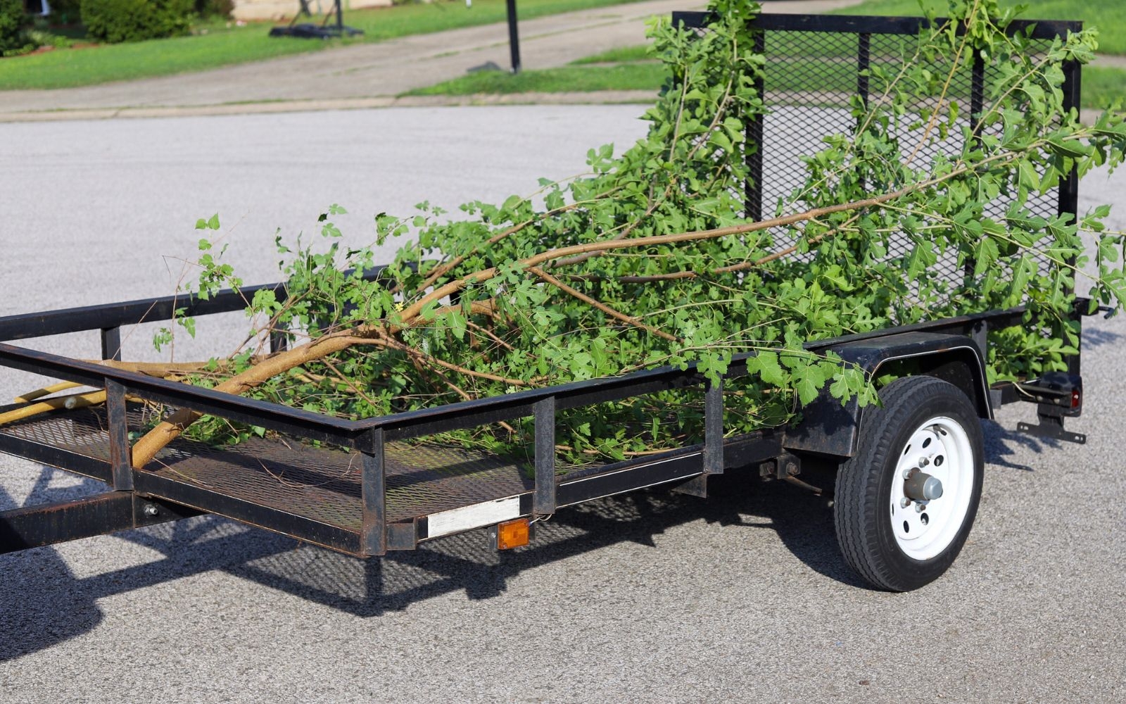 What is the difference between pruning and trimming